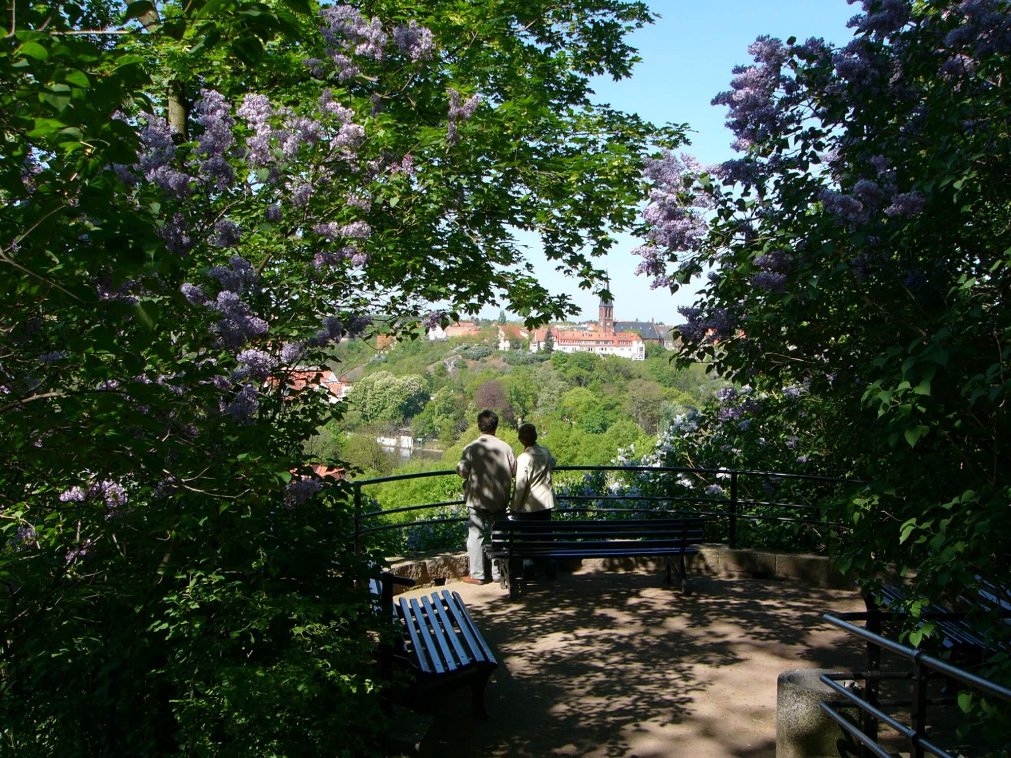 Fliederblütenzeit Im Bergzoo Blick Aufs Saaletal