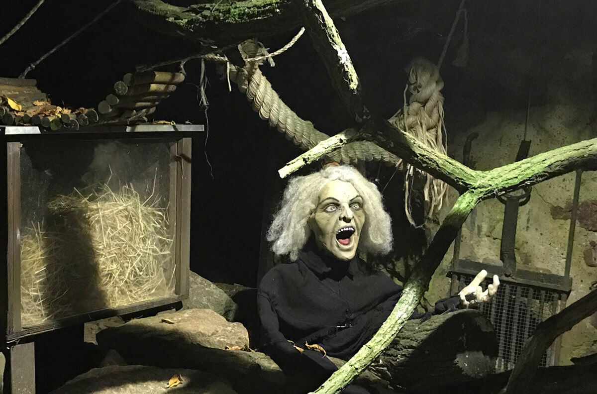 Halloween & Gruselzoo Bild 1