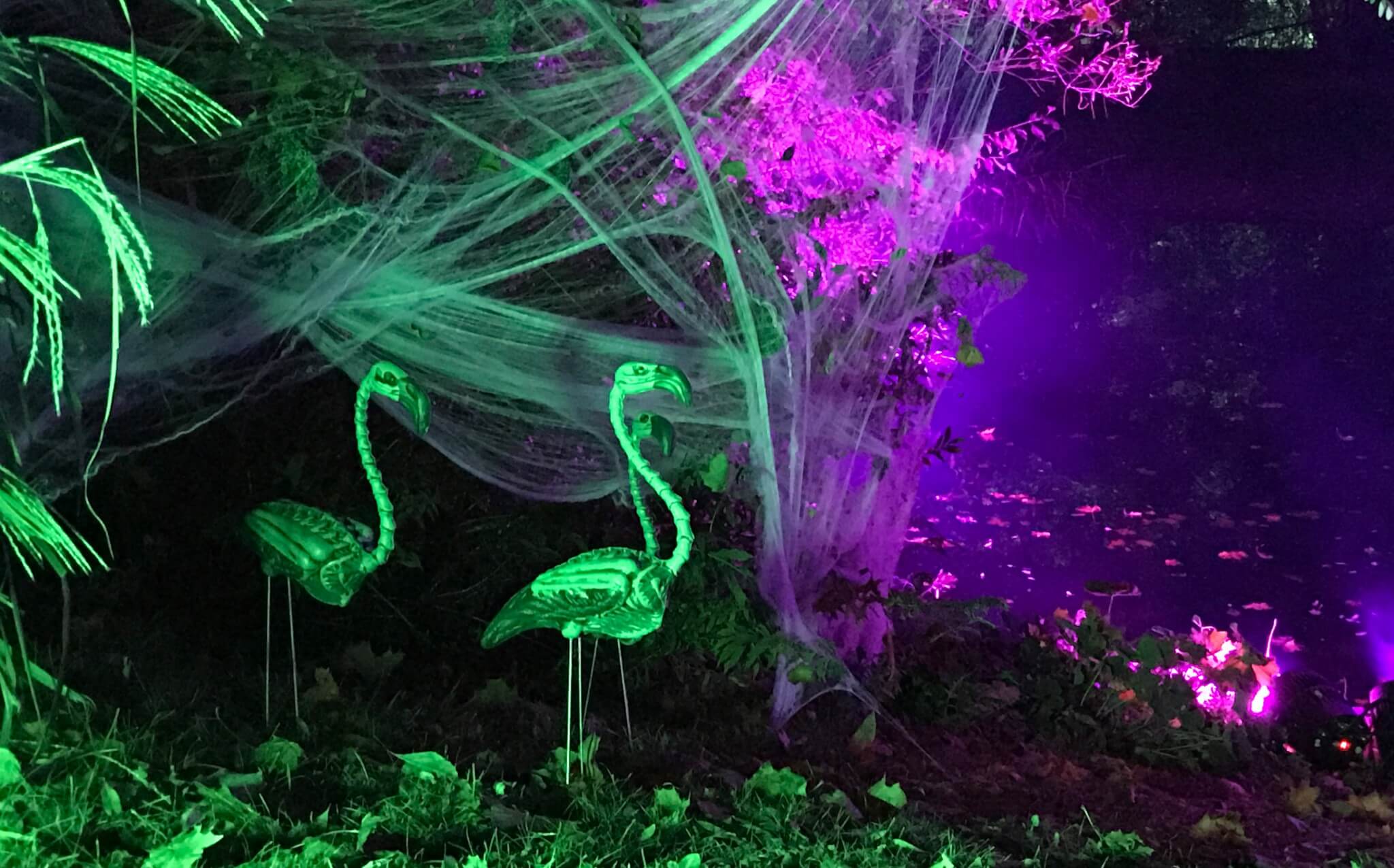 Halloween & Gruselzoo Bild 2