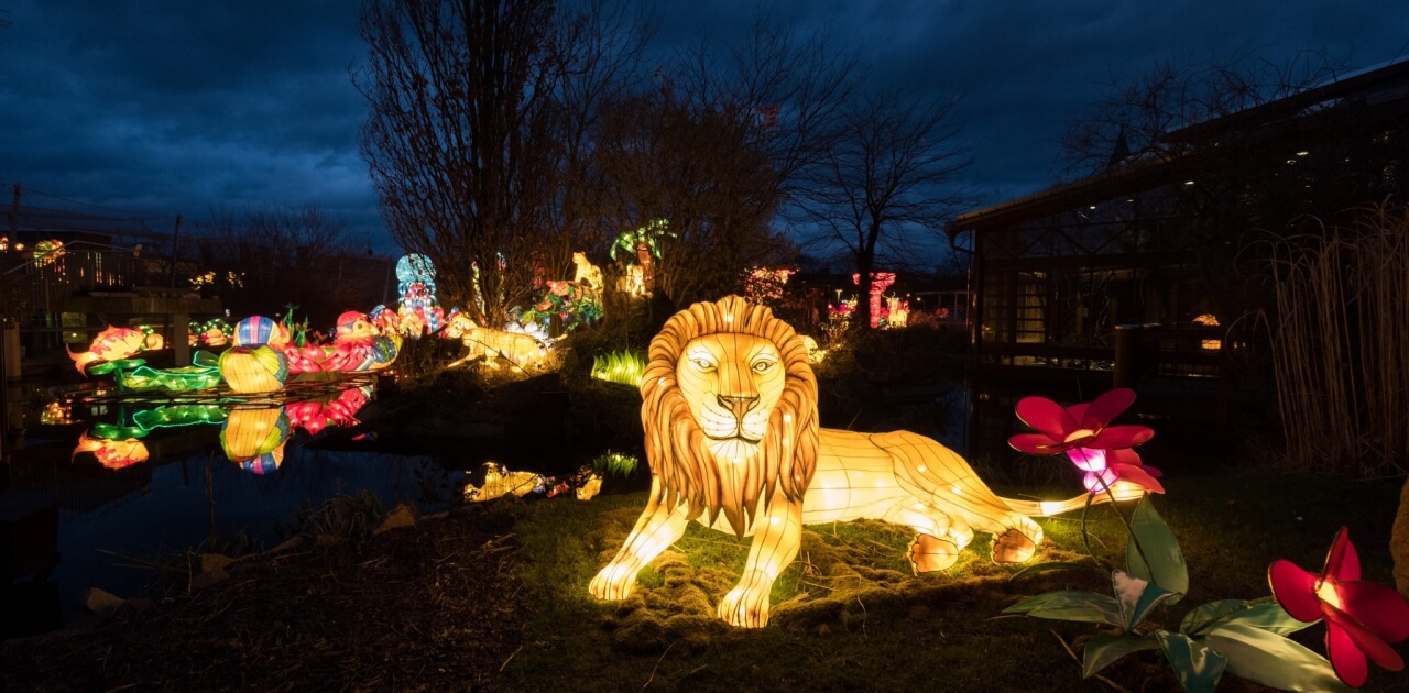 New Worlds - Bergzoo Halle