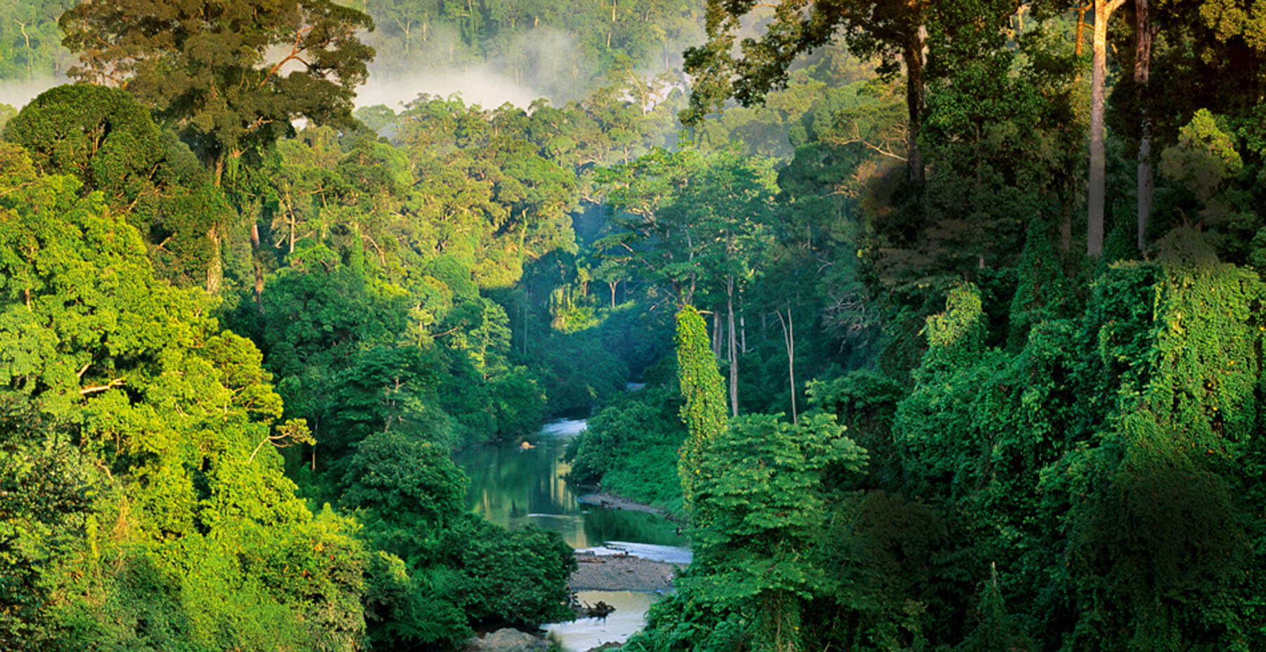 Borneo Danum Valley