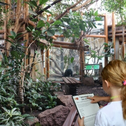Foto Zoosafari