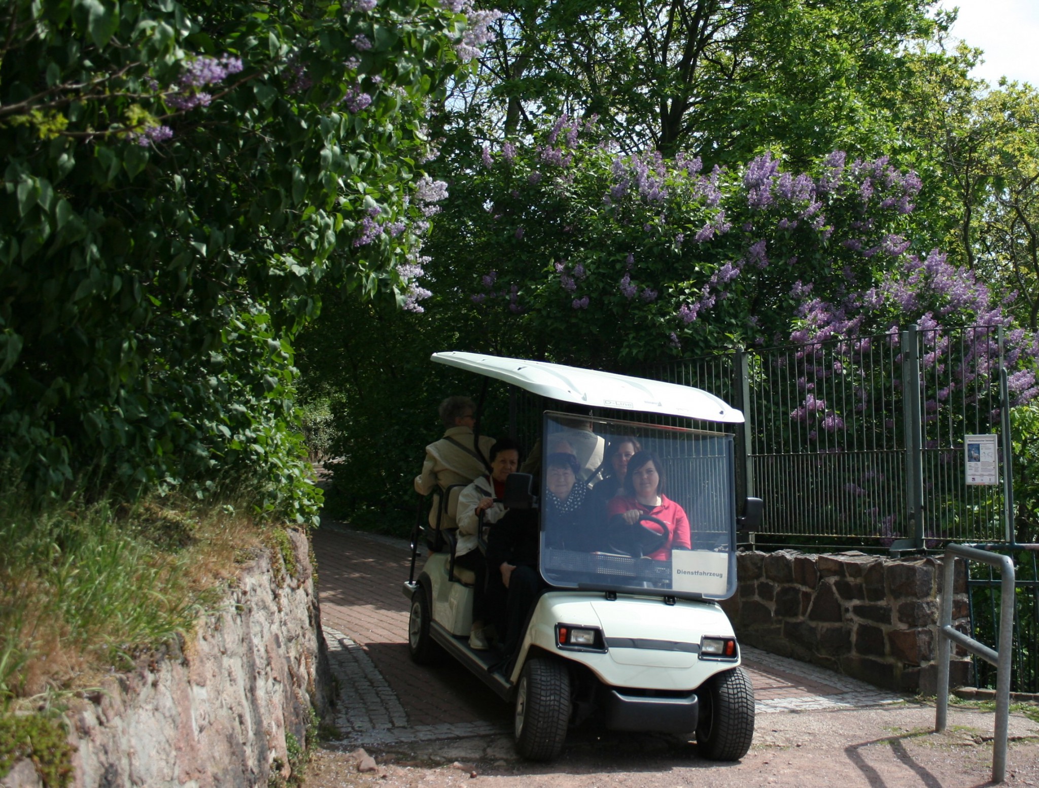 Seniorenshuttle