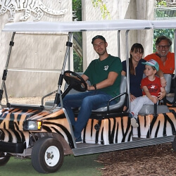 Bühnenbild Shuttle Touren